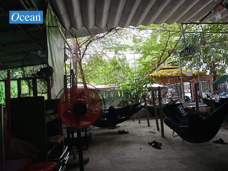 Quán cafe võng 409 Nguyễn Oanh