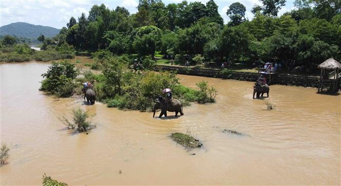 Khám Phá Hệ Sinh Thái Độc Đáo Của Buôn Đôn