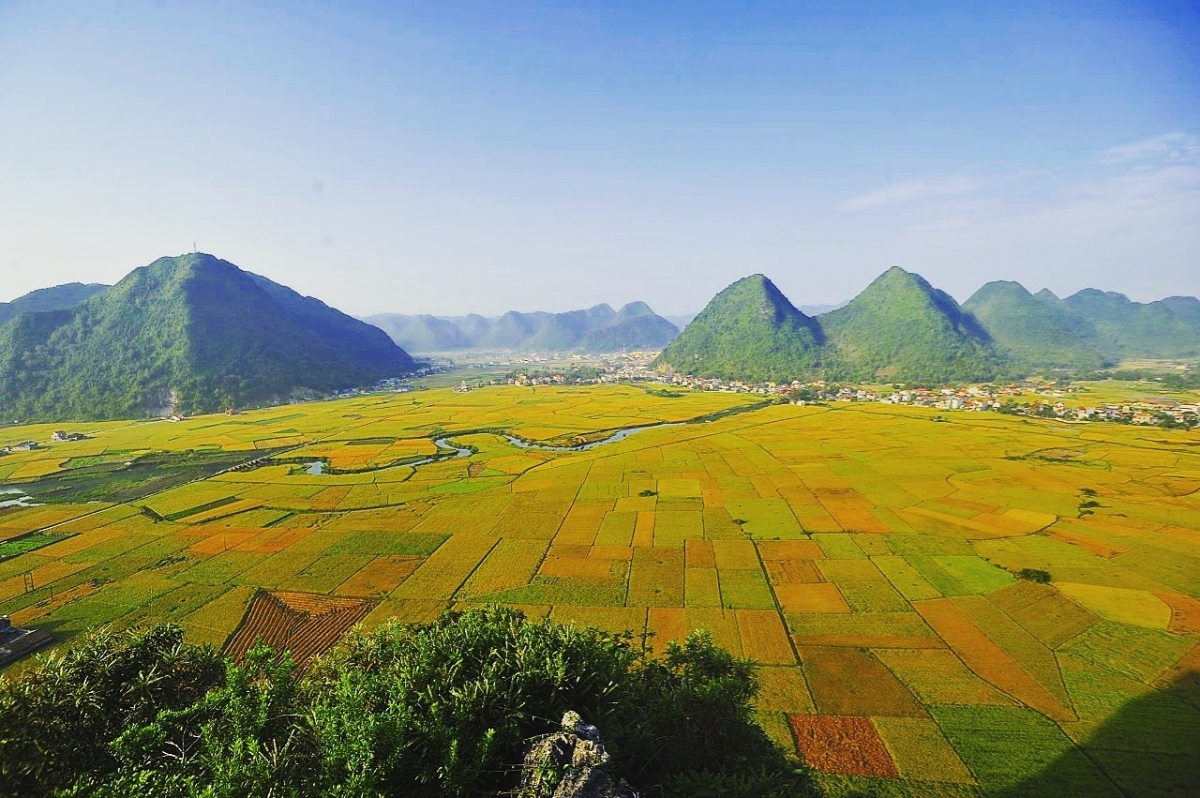 Khám Phá Thung Lũng Vàng - Thiên Đường Hoa Nở Ở Đà Lạt