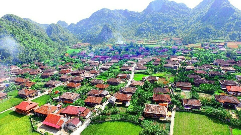 Khám Phá Thung Lũng Vàng - Thiên Đường Hoa Nở Ở Đà Lạt