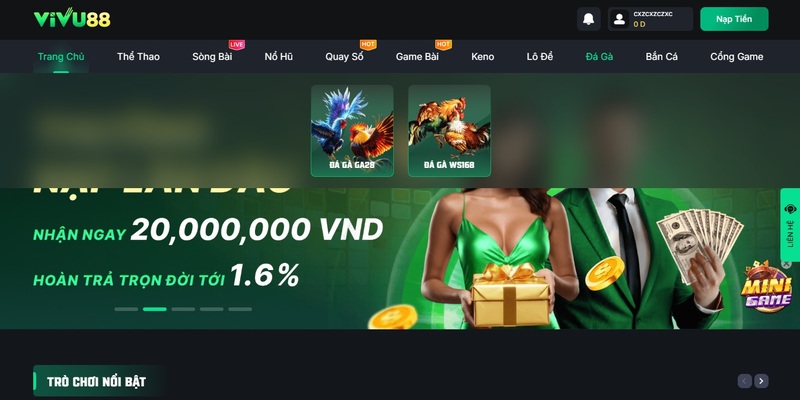 Tổng hợp 2 sảnh đá gà Vivu88 trên nền tảng