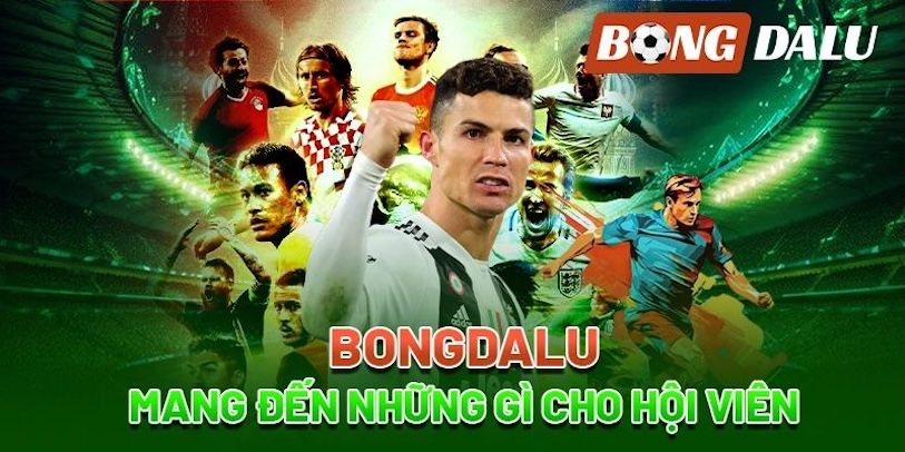 Cách soi kèo cá cược bóng đá Bongdalu cho người mới