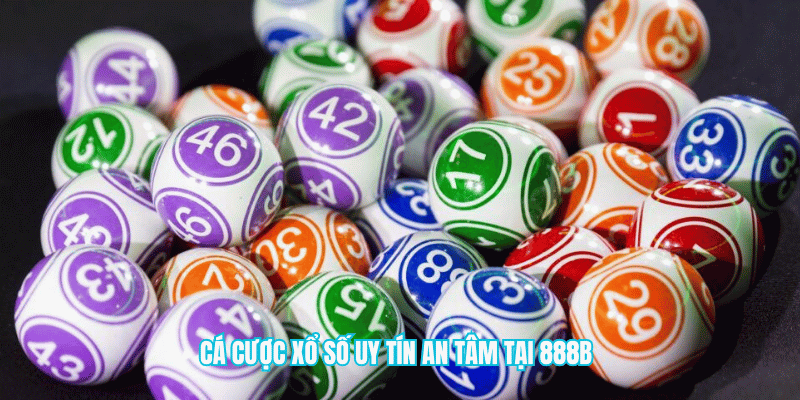 Mơ Thấy Rồng Vàng - Giấc Mơ Lô Đề Hoàng Kim