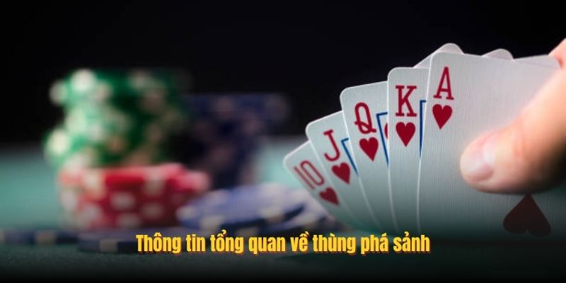 Thông tin tổng quan về thùng phá sảnh
