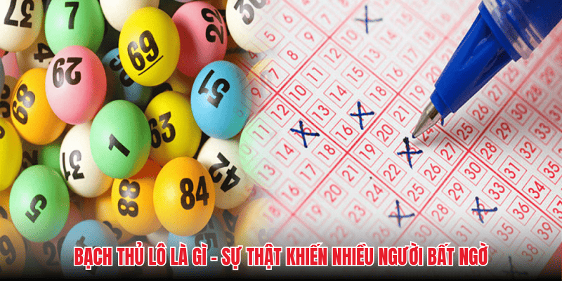 Bạch Thủ Lô Là Gì - Sự Thật Khiến Nhiều Người Bất Ngờ