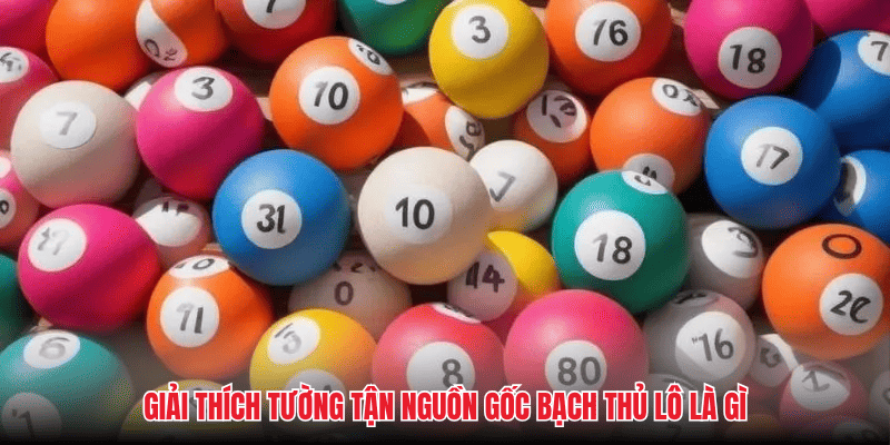 Giải thích tường tận nguồn gốc bạch thủ lô là gì