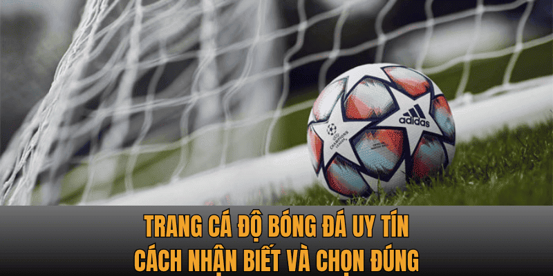Trang Cá Độ Bóng Đá Uy Tín - Cách Nhận Biết Và Chọn Đúng