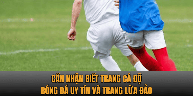 Cần nhận biết trang cá độ bóng đá uy tín và trang lừa đảo
