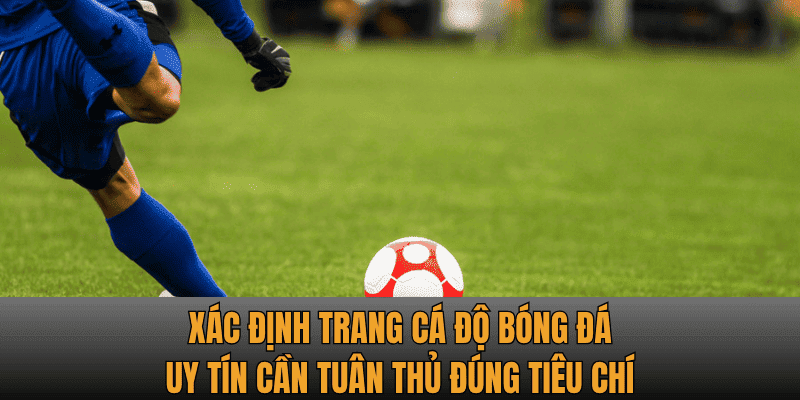 Xác định trang cá độ bóng đá uy tín cần tuân thủ đúng tiêu chí